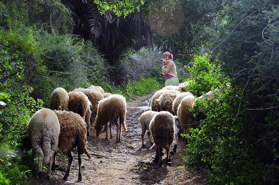 Schäferin, Souss, Marokko 2010.